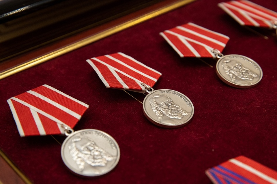 Врачи Волгограда признательны за высокую оценку труда и медаль «Луки Крымского»