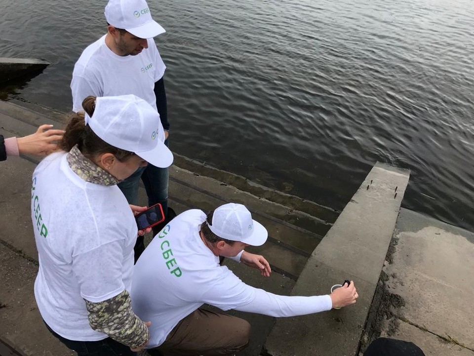 Волга, живи: волонтёры Сбера вносят свой вклад в экологическое здоровье великой русской реки