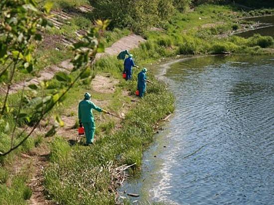 Водоемы Волгоградской области обработают против комаров и клещей