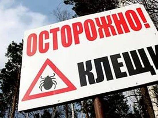 клещи кгл
