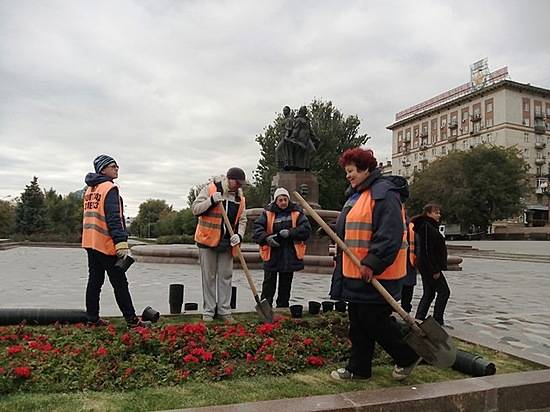 В центре Волгограда готовят к зиме клумбы с цветами