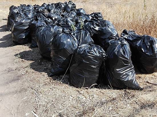 Школьники вывезли из Волго-Ахтубинской поймы 629 мешков с мусором