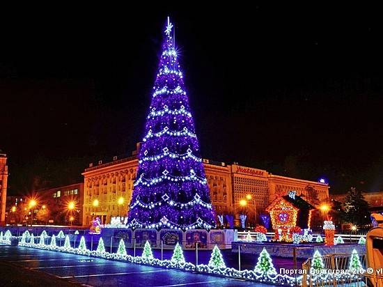 В Волгограде объявлен конкурс на установку главной новогодней елки города