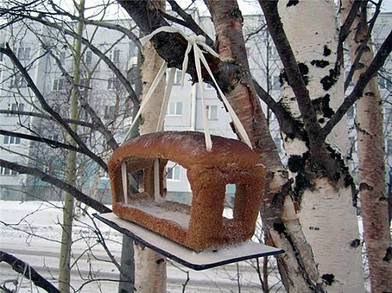 Кормушки птицам