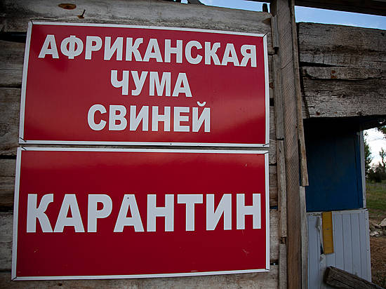 ачс карантин