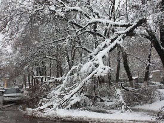 Погода в тимирязеве башмаковского района пензенской области