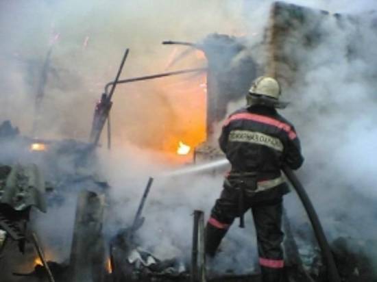 За сутки на пожарах в Волгоградской области погибли двое мужчин