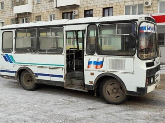 В Михайловке автобус сбил 81-летнюю пенсионерку