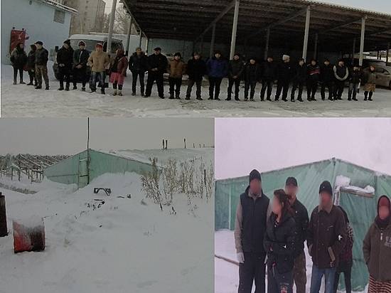 Под Волгоградом фермер нанял на работу 22 нелегала из Китая и Узбекистана