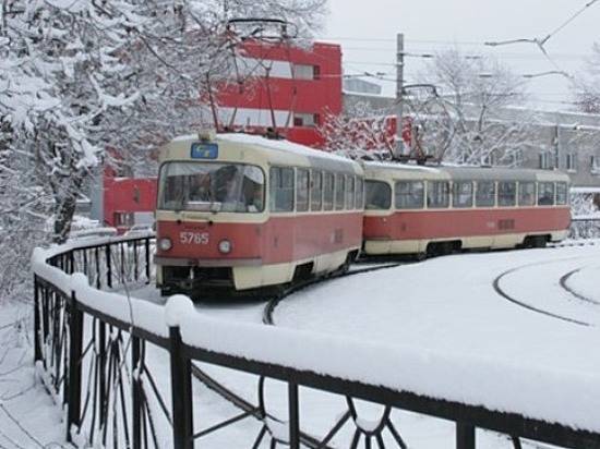 В Волгограде начался прием документов для получения компенсация за школьные проездные