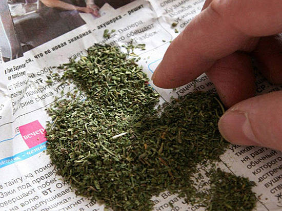 В Палласовке мужчина «попался» на хранении крупной партии растительных наркотиков