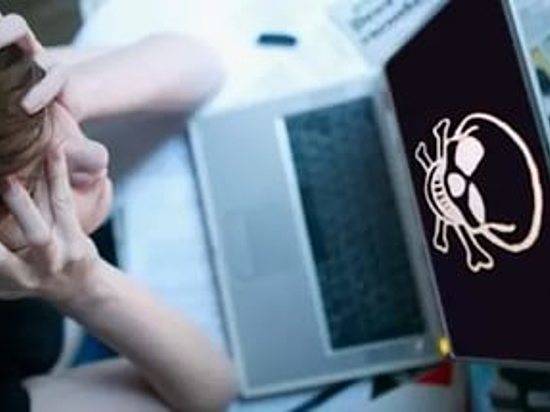 Судебные приставы предупреждают волгоградцев о мошенниках, рассылающих письма с вирусами