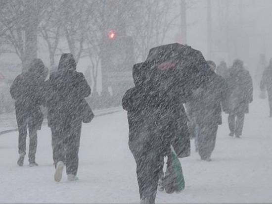 Неделя начнется в Волгограде со снега, а продолжится метелью