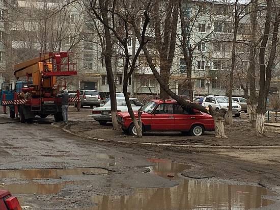 На юге Волгограда дерево рухнуло на «шестерку»