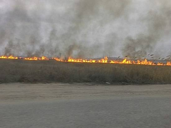 В Красноармейском районе Волгограда вновь полыхает камыш
