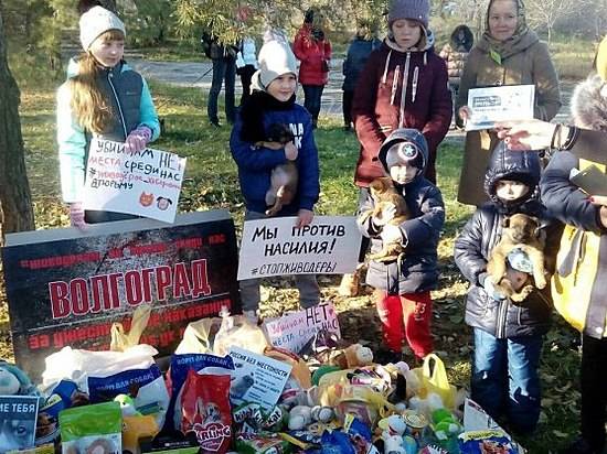 Волгоградцы намерены провести митинг в защиту животных