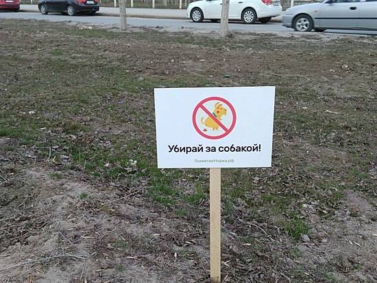 Волгоградских собачников призывают убирать за своими питомцами