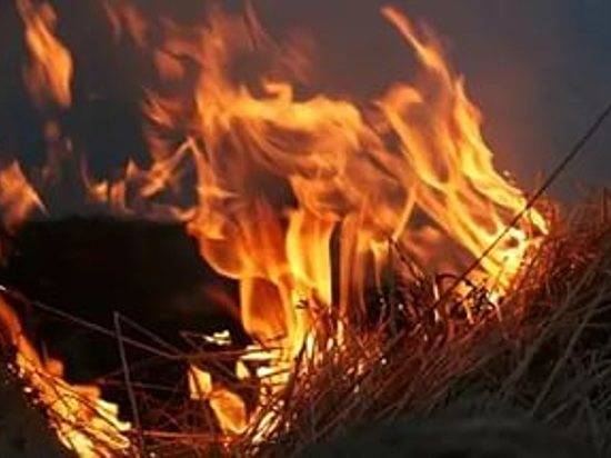 Под Волгоградом неизвестные сожгли 18 тонн сена