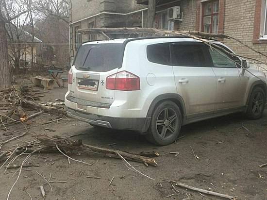 На севере Волгограда на дорогую иномарку упало дерево