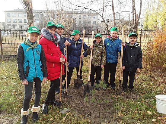 В Волгограде в городских лесах наводят порядок
