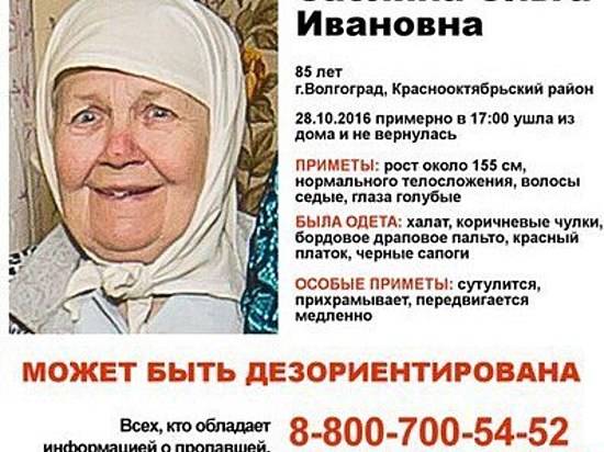 Волгоградцы вновь выйдут на поиски пропавшей в прошлом году 85-летней пенсионерки