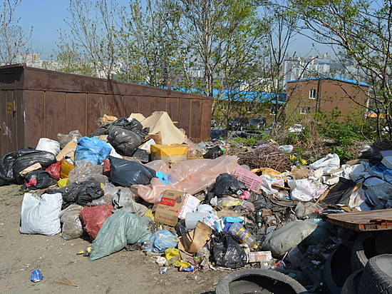 В трех районах Волгограда обнаружено 16 свалок