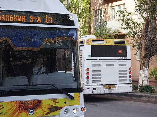 Ежедневно волгоградцев перевозят более 600 автобусов, трамваев и троллейбусов