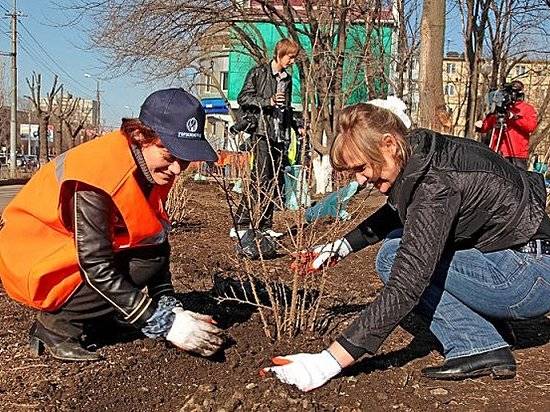В Волгограде за месяц высадили более трех тысяч деревьев
