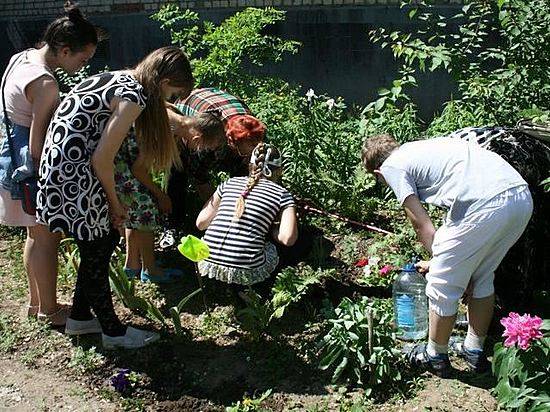 В первый день лета в Тракторозаводском районе высадили 500 петуний