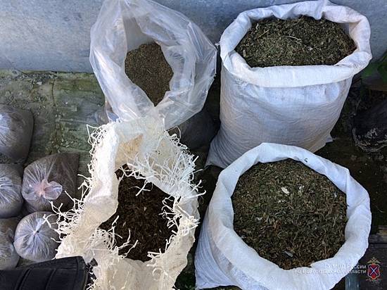 Под Волгоградом полицейские изъяли 23 килограмма марихуаны