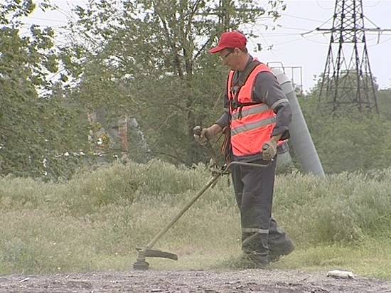 В Волгограде выкосили больше 200 гектаров камыша и расчистили 50 свалокВ Волгограде выкосили больше 200 гектаров камыша и расчистили 50 свалок