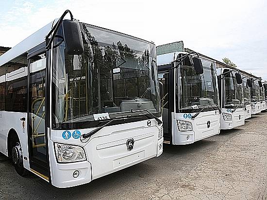 В Волгограде для МУП «Метроэлектротранс» закупят 25 автобусов