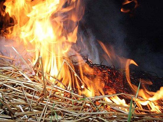 Под Волгоградом неизвестный сжег две тонны сена
