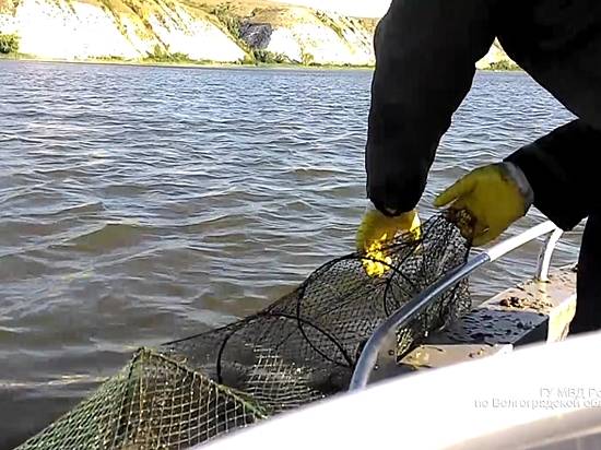 ловля рыбы на можайском водохранилище ловля рыбы на можайском водохранилище