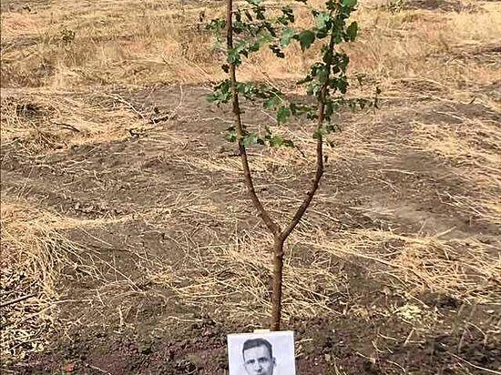 Патриотизм и пиар: кто и зачем пытается поднять шумиху вокруг мемориального парка у Мамаева кургана?