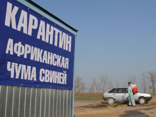 В Волгоградской области в двух хозяйствах выявили АЧС