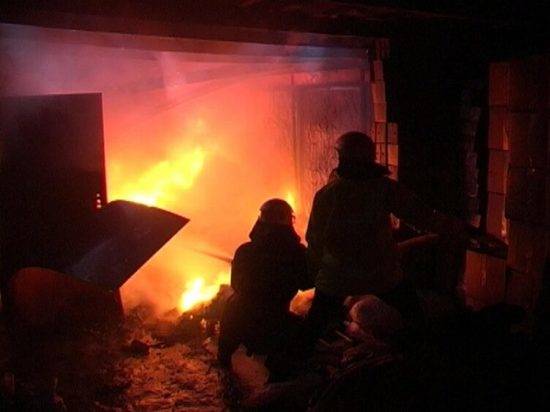 МЧС: в Волгоградской области запрещено выжигать сухую траву