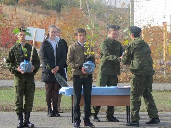 Саженцы легендарного сталинградского тополя украсили школы Городища