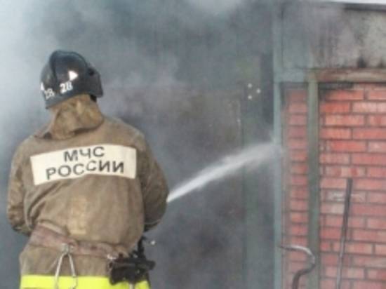 В Волгограде в огне погибли два брата