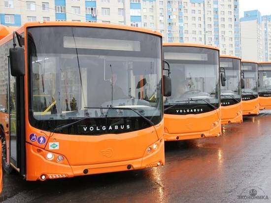В Волгограде запускают новый автобусный маршрут