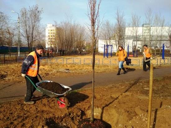 Парк Героев-летчиков в Дзержинском районе украсит тысяча новых деревьев