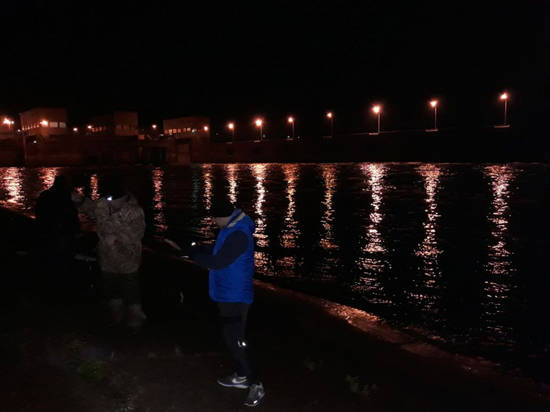 ловля раков в московской области запрещена ловля раков в московской области запрещена