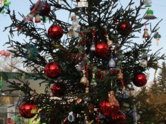 Гороскоп причесок на ноябрь 2019 год Гороскоп причесок на ноябрь 2019 год