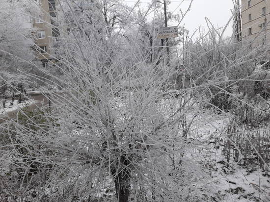 Со следующей среды в Волгоград придут морозы и пойдет снежок