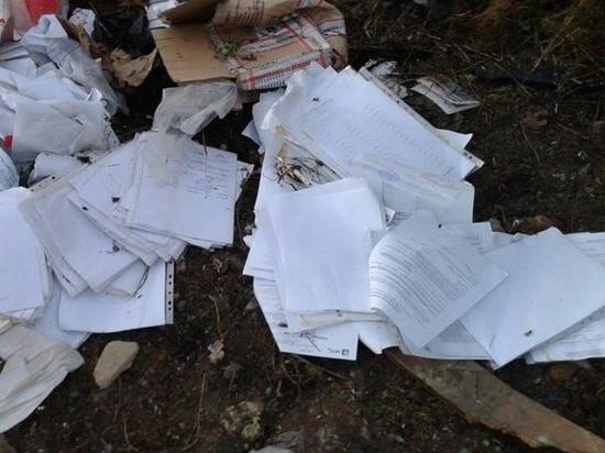 Под Волгоградом выбросили пачки копий документов