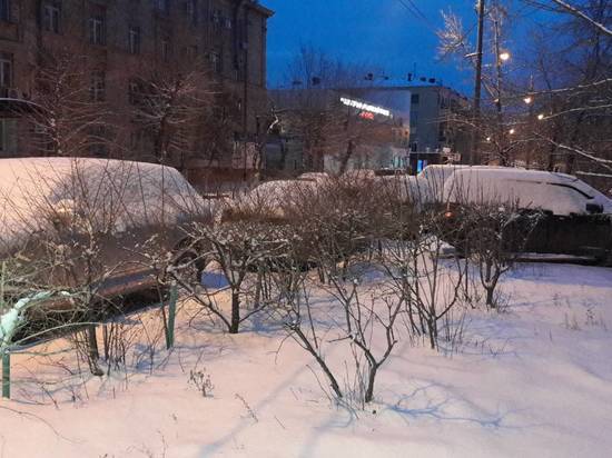 Первый настоящий снег выпал в Волгограде