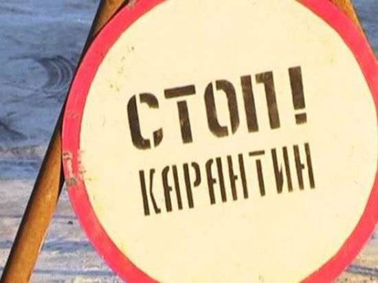 В Волгоградской области с двух хуторов и нескольких городских домов сняли карантин по бешенству