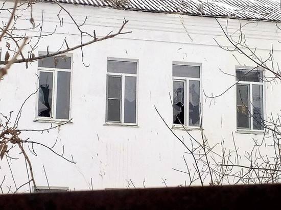 В Волгоградской области спиленное дерево разнесло окна в школе