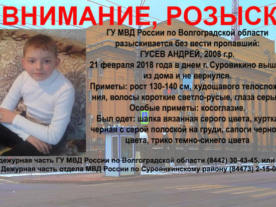 Полиция, волонтеры, нацгвардия: более 200 человек ищут пропавшего Андрюшу в Суровикино