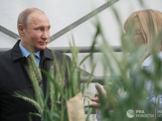 Владимир Путин: «Миф о депрессивности сельского хозяйства в России больше не актуален»